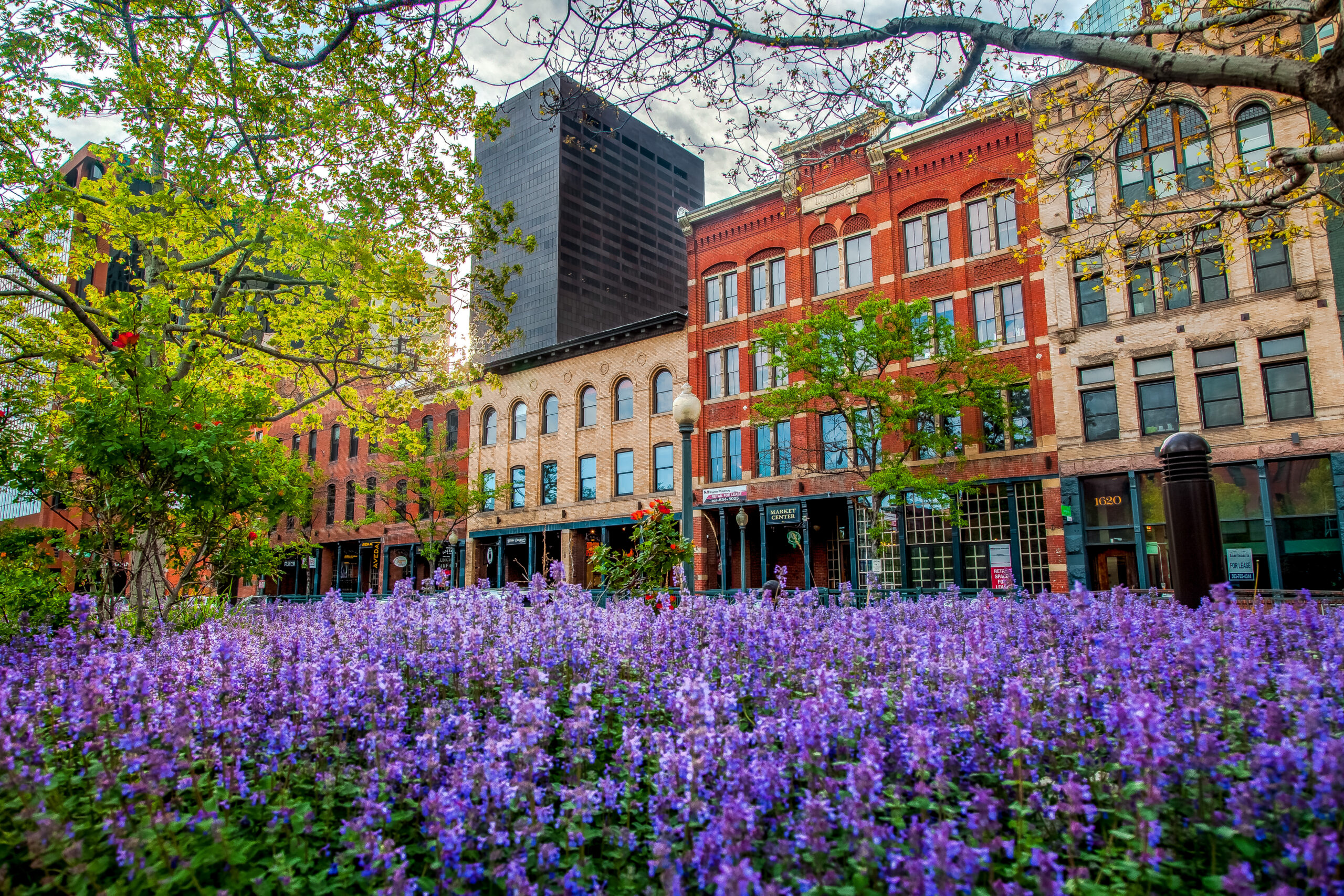 Apartments in Denver with flowers